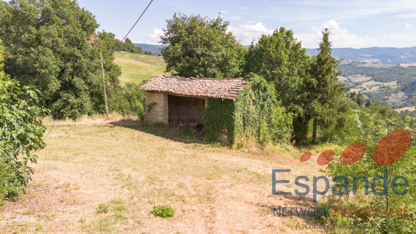 Rustico, Montese — foto 4 di 5