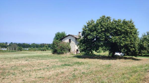 Rustico in Via degli Alteni, Martiniana Po — foto 4 di 5
