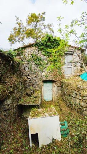 Rustico, Lerici