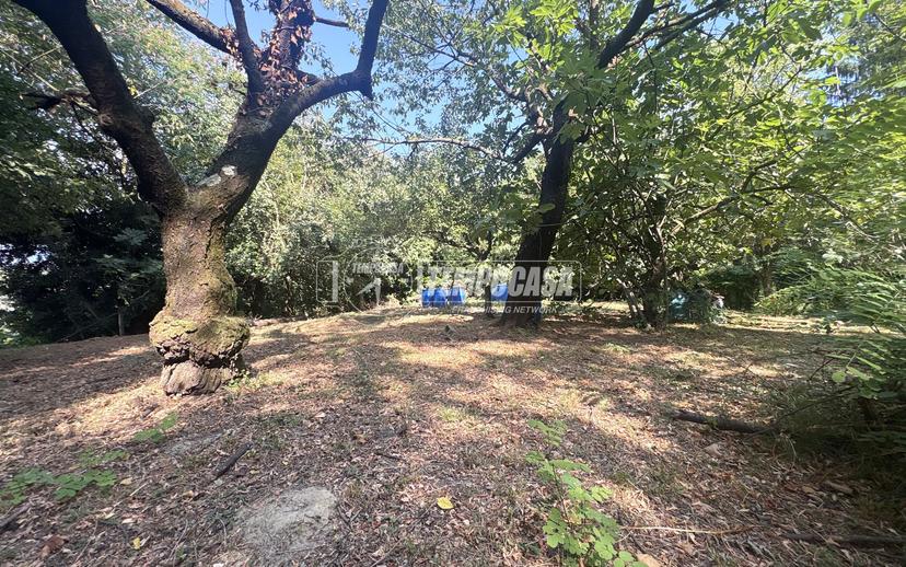 Casa indipendente in Frazione Mombello, Valle San Nicolao — foto 5 di 5