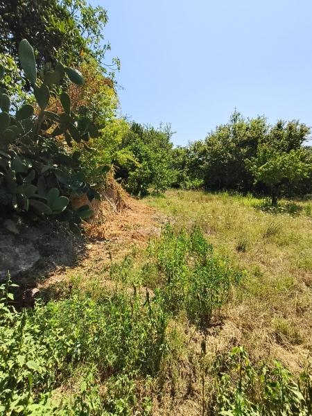 Appartamento in Via Socce 56, Teano — foto 5 di 5