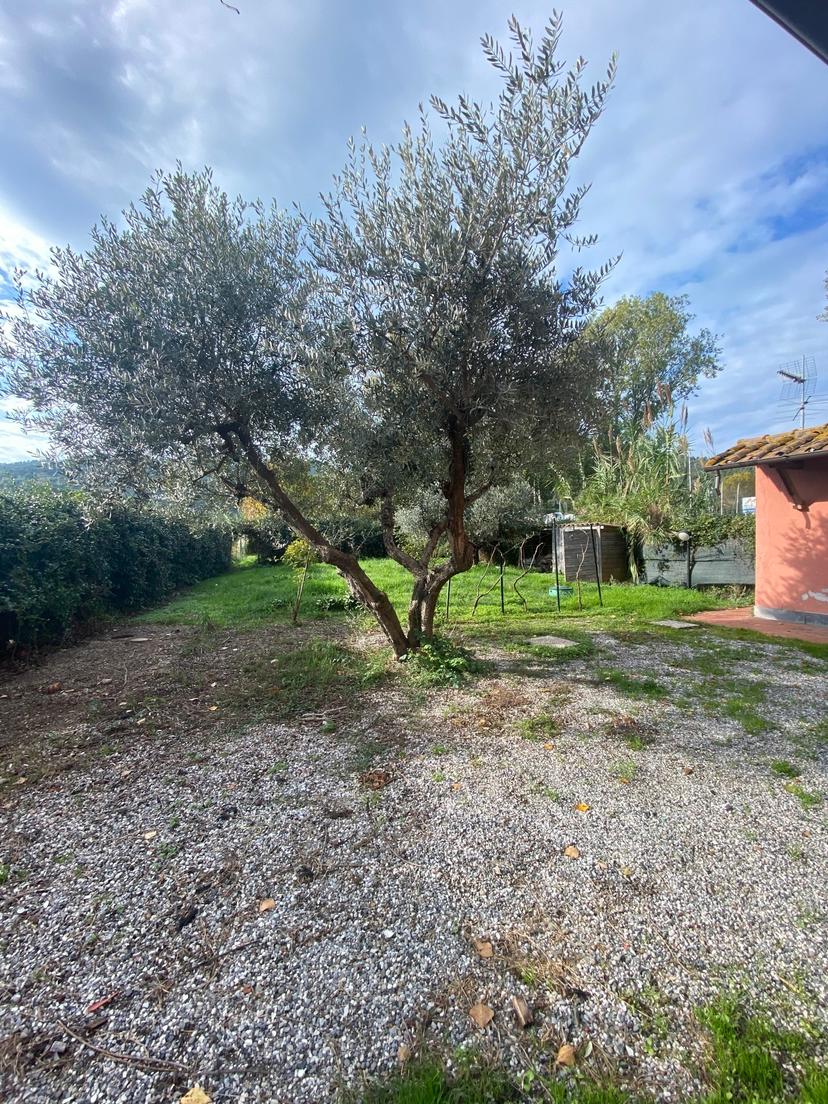Casa indipendente, Ameglia — foto 5 di 5