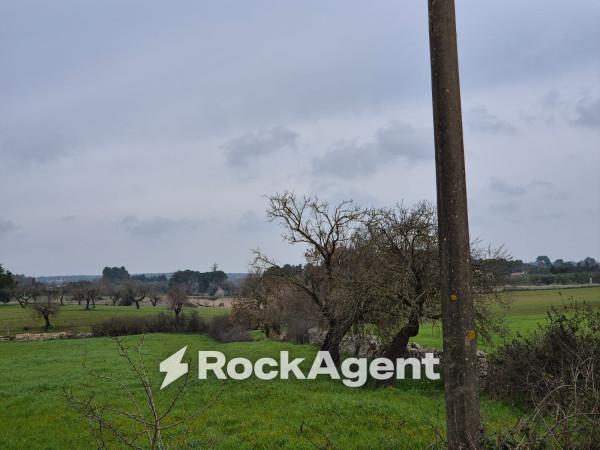 Rustico in Carraro dei Girardi, Gioia del Colle — foto 4 di 5