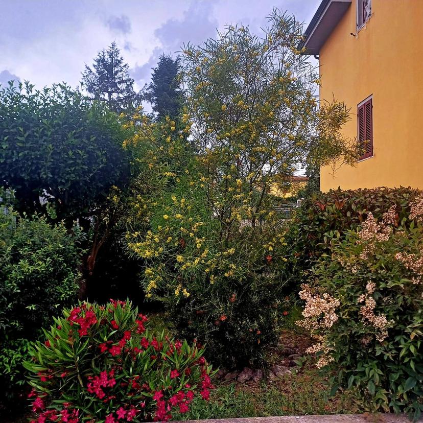 Casa indipendente, Santa Croce sull'Arno — foto 4 di 5