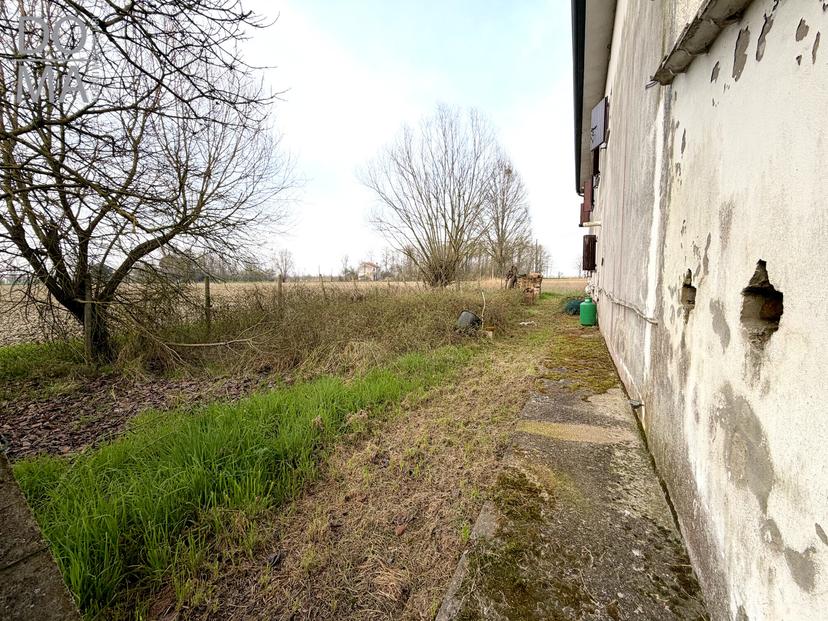 Casa indipendente, Taglio di Po — foto 4 di 5