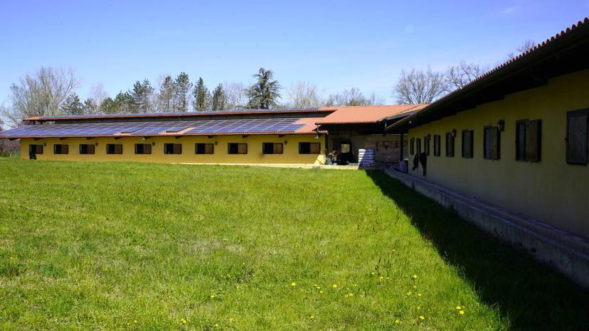 Rustico in Strada Menabò, Cellarengo — foto 2 di 5