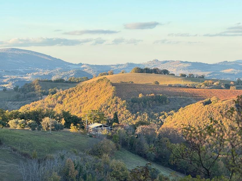 Villa in Colli 44, Serrapetrona — foto 3 di 5
