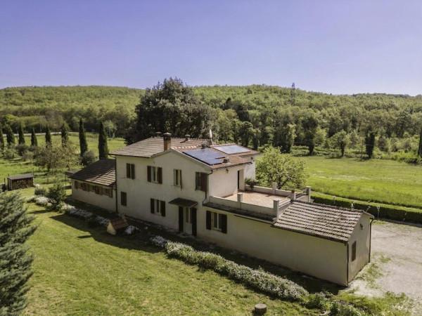 Rustico in Strada Provinciale Perolla, Massa Marittima