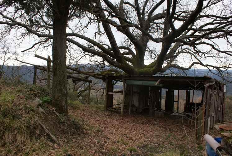 Quadrilocale, Montecatini Val di Cecina — foto 4 di 5