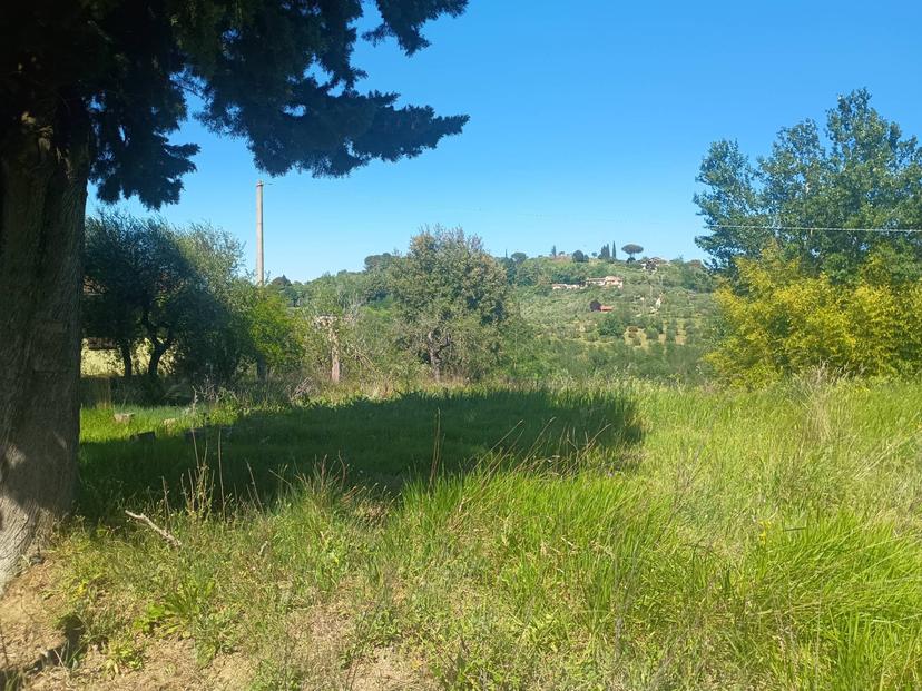 Casa indipendente in Via Nuova, Palaia — foto 2 di 5
