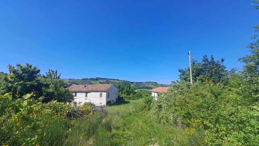 Rustico in Via Follonica Snc, San Paolo di Jesi — foto 3 di 5
