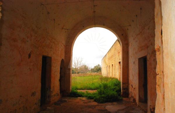 Villa in Strada Comunale Rose Cavalcatore, Presicce-Acquarica — foto 5 di 5