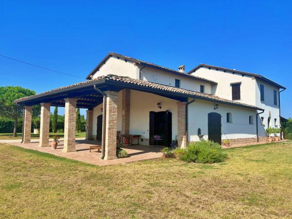 Casale, Ravenna