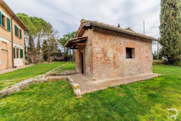 Rustico in Strada Provinciale Lauretana, Asciano