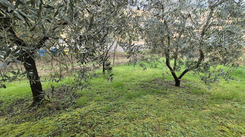 Casa indipendente, Bucine — foto 2 di 5