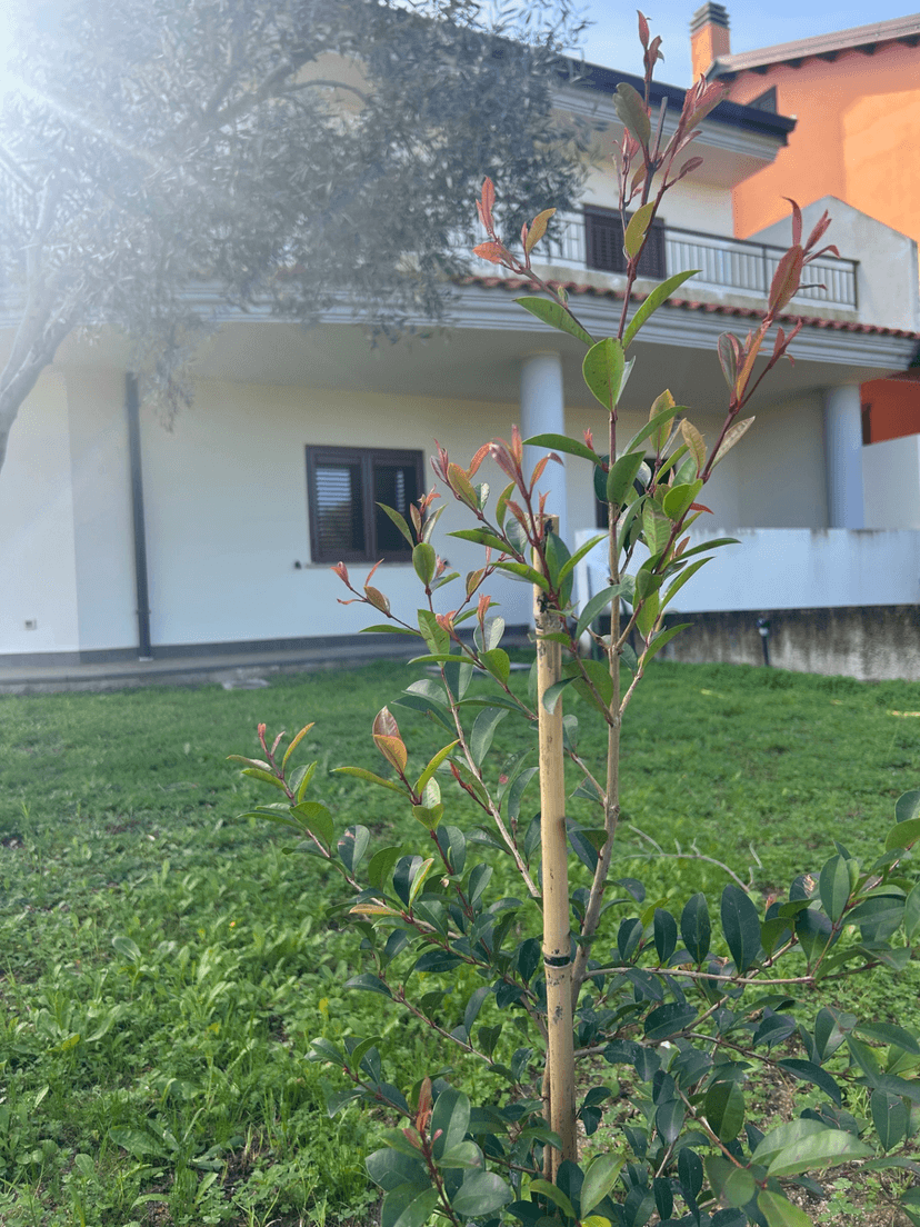 Villa in Via Domenico Folino, Soverato — foto 5 di 5