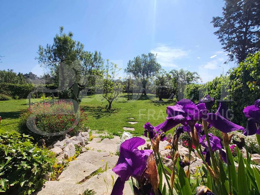 Villa in Via Roma 222, Penna in Teverina — foto 5 di 5