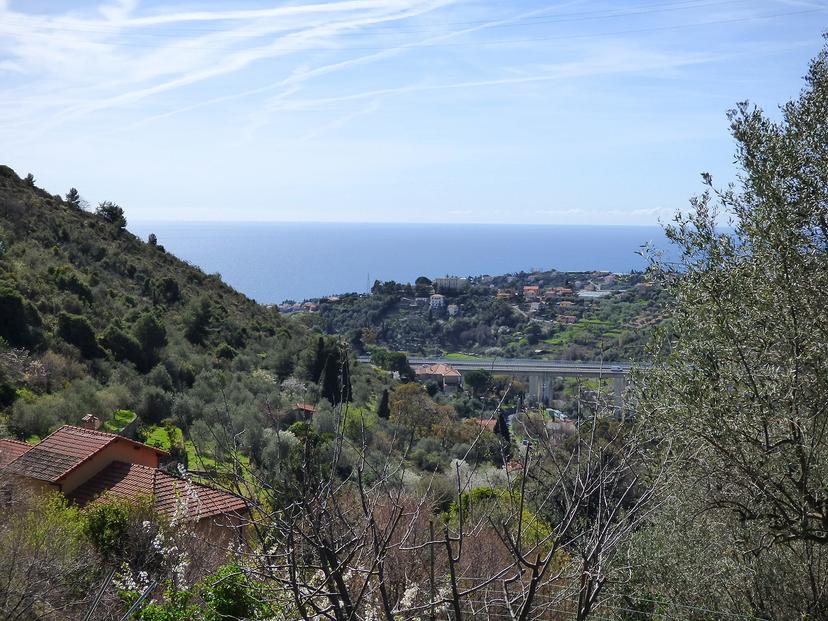 Rustico, Sanremo — foto 2 di 5
