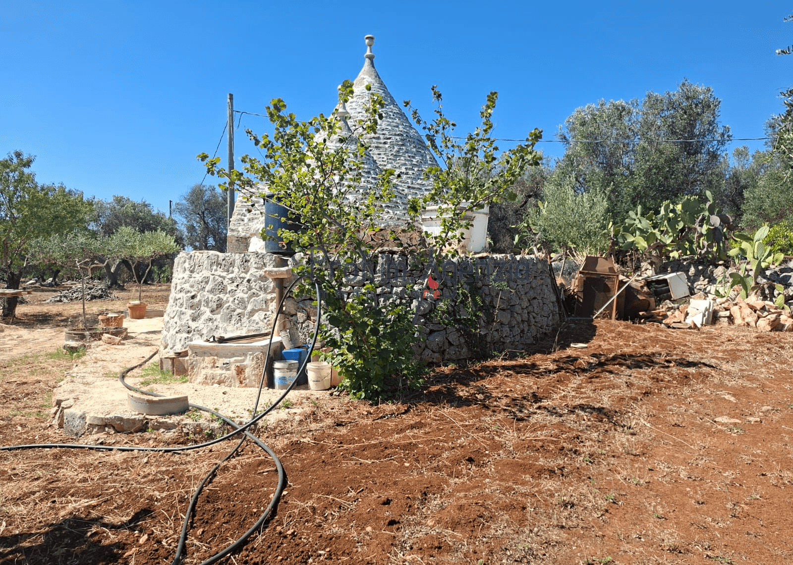 Trullo, Francavilla Fontana