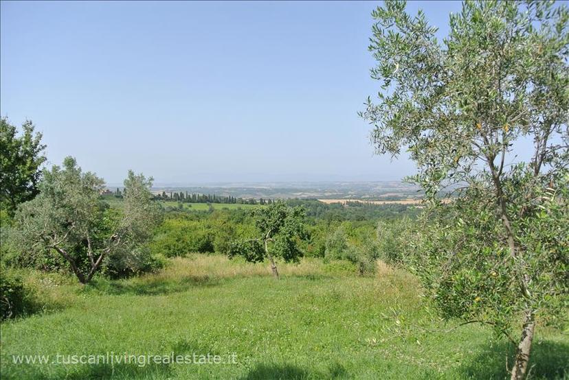 Casale in Sp19, Sarteano — foto 2 di 5