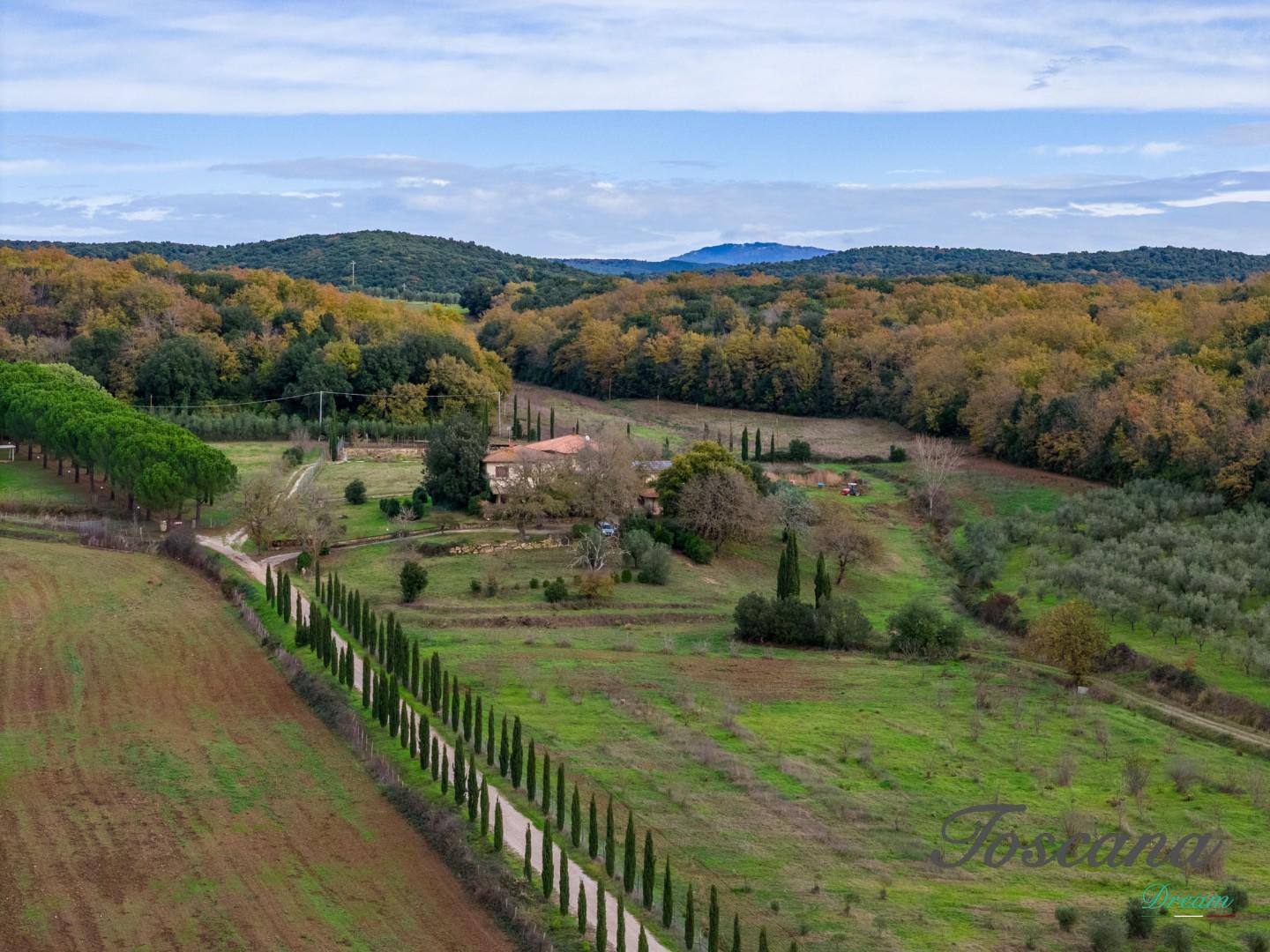 Rustico, Massa Marittima