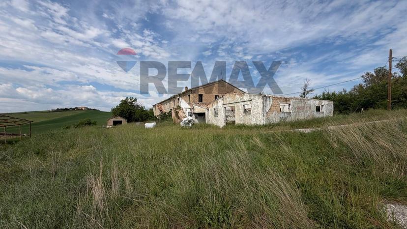 Rustico in San Mommeo 6, Belvedere Ostrense — foto 2 di 5