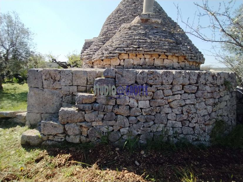 Trullo in S.C. Sacerdote, Castellana Grotte — foto 5 di 5