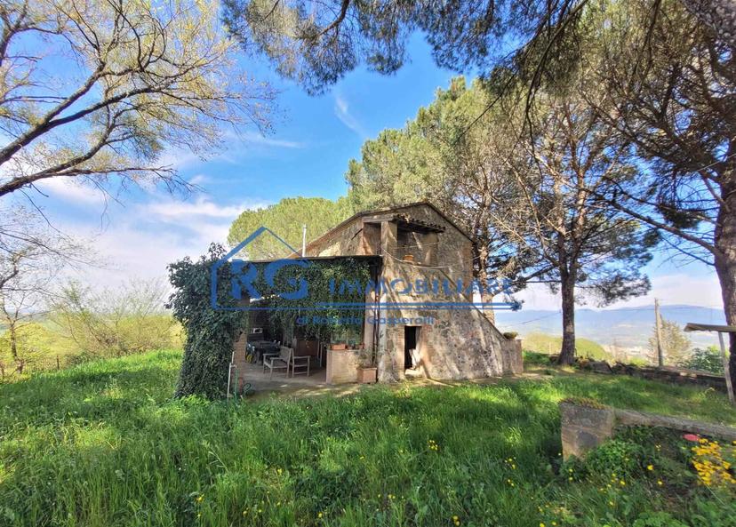 Rustico in Strada Porcino, Castiglione in Teverina — foto 5 di 5