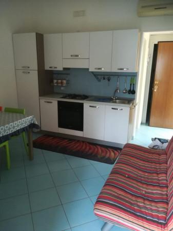 Bilocale in Viale Nausicaa, Borgia