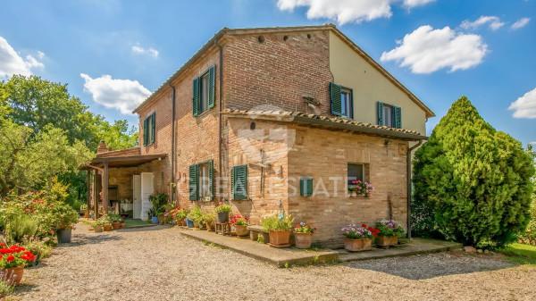 Casale in Strada Provinciale 301, Castiglione del Lago — foto 4 di 5