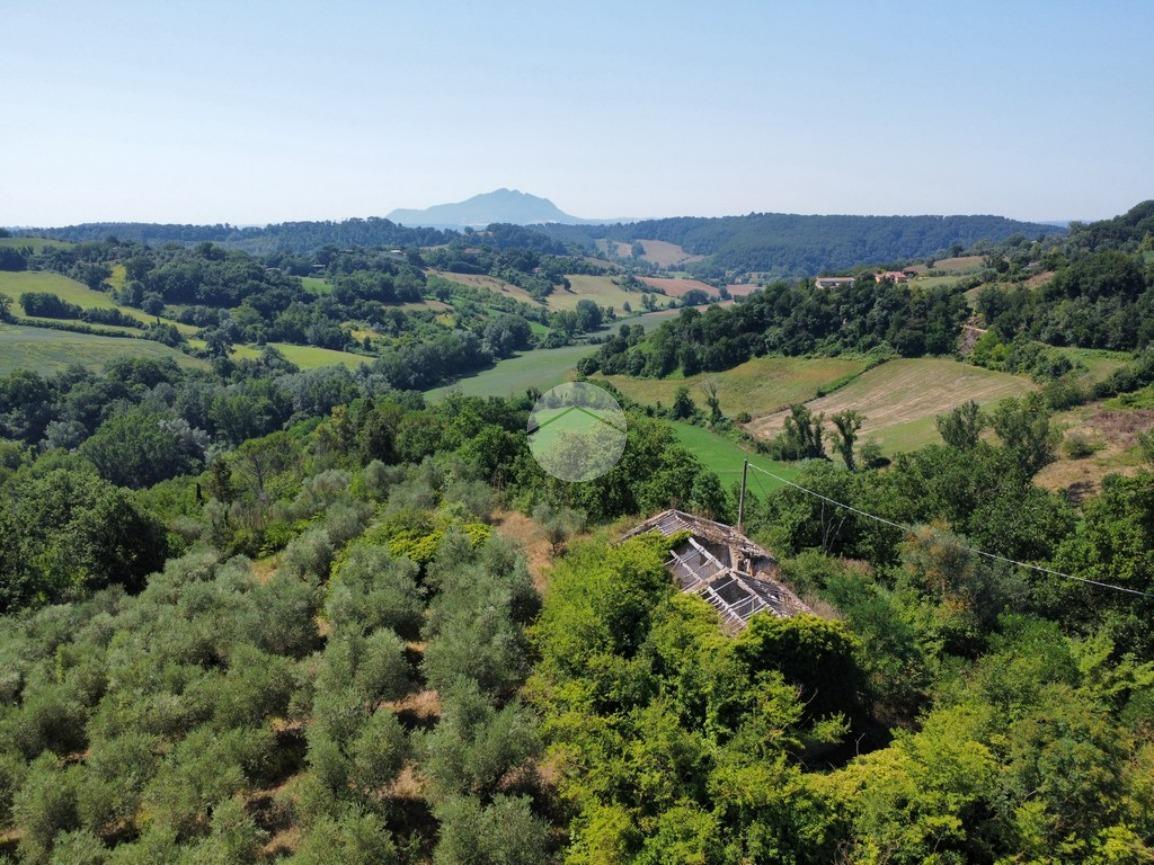 Rustico in Vocabolo Valleventi, Magliano Sabina