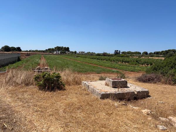 Trullo in Via 11b 16, Manduria — foto 4 di 5