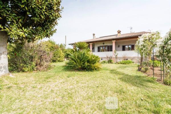 Villa in Via Colle del Pero, Zagarolo — foto 2 di 5