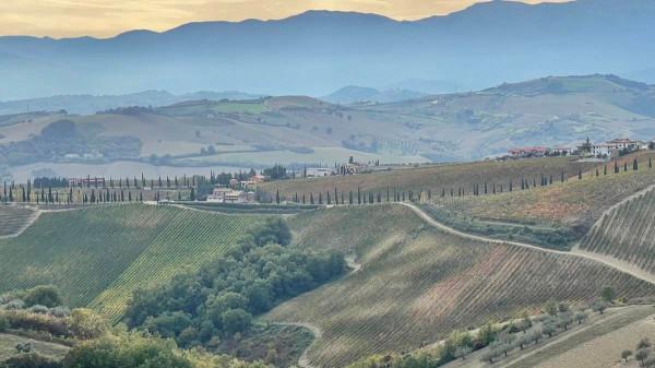 Villa in Strada Marina Inferiore, Elice — foto 3 di 5