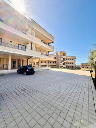Trilocale in Viale San Lorenzo, Ardea — foto 2 di 5