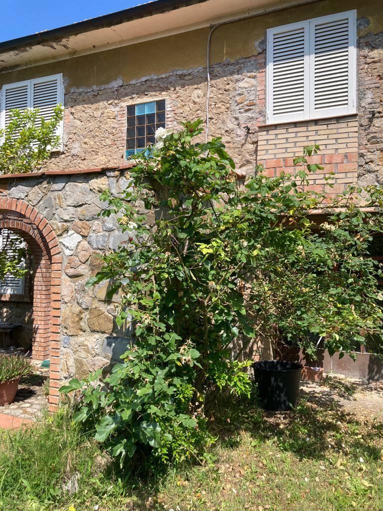 Casa colonica, Riparbella — foto 3 di 5
