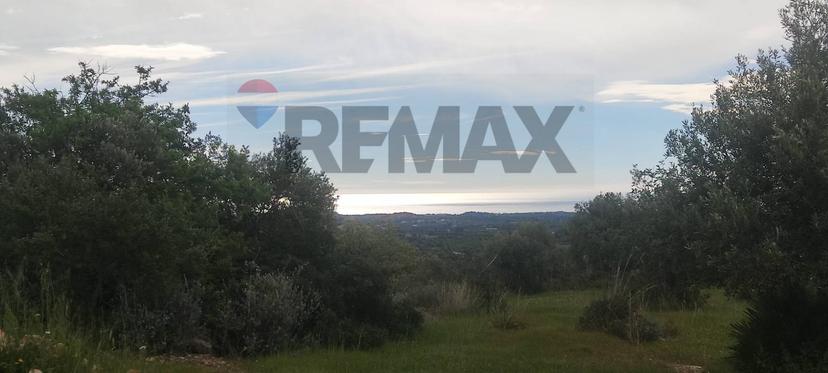 Rustico in Contrada Grattaluri, Noto — foto 3 di 5
