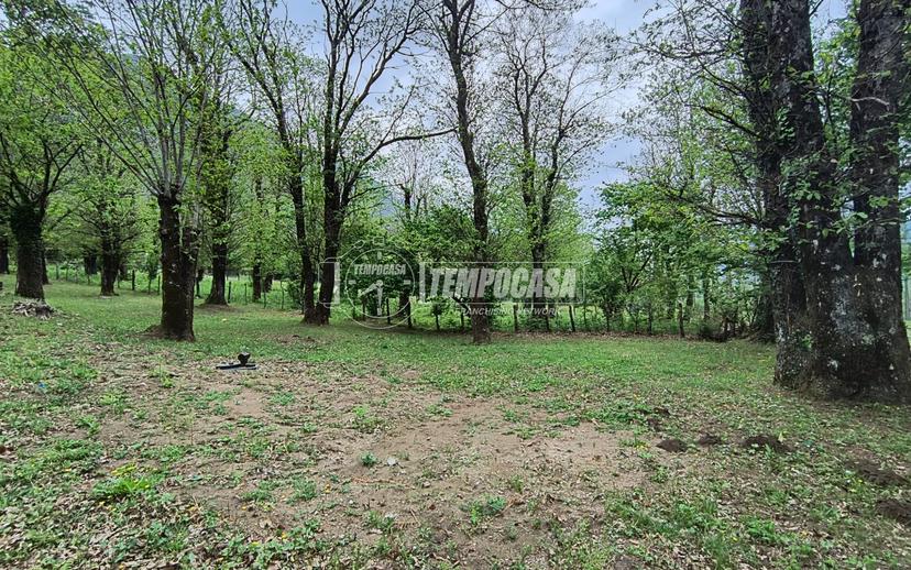 Casa indipendente in Ss574, Serino — foto 2 di 5