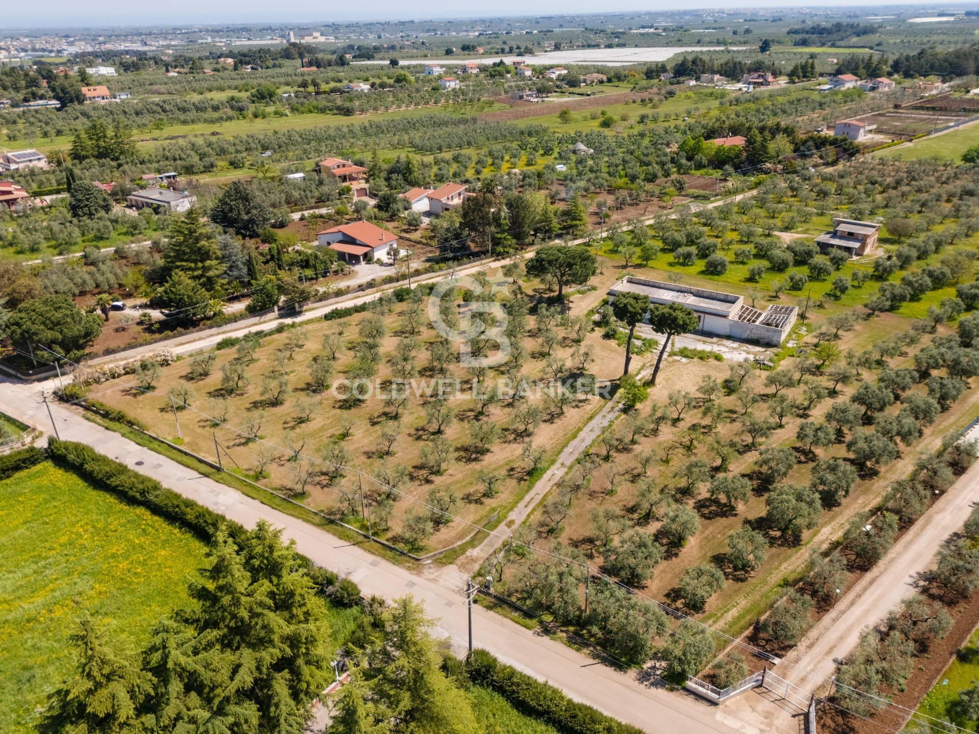 Villa in Strada Esterna Regio Bosco Comunale 13, Corato