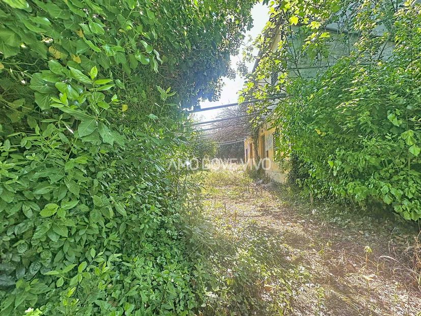 Casa indipendente, Senigallia — foto 3 di 5