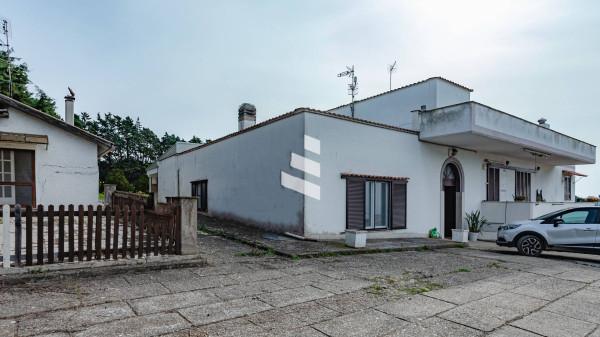 Villa bifamiliare in Via Vincenzo Testoni, Civitavecchia — foto 3 di 5