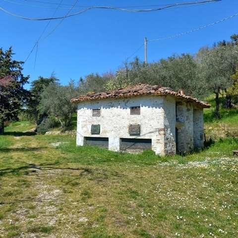 Rustico, Castrocaro Terme e Terra del Sole — foto 5 di 5
