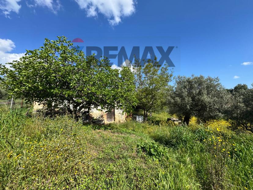 Rustico in C.da Rosciavizza, Mozzagrogna — foto 4 di 5
