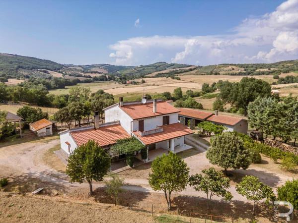 Rustico in Strada Provinciale Cinigianese, Cinigiano — foto 3 di 5