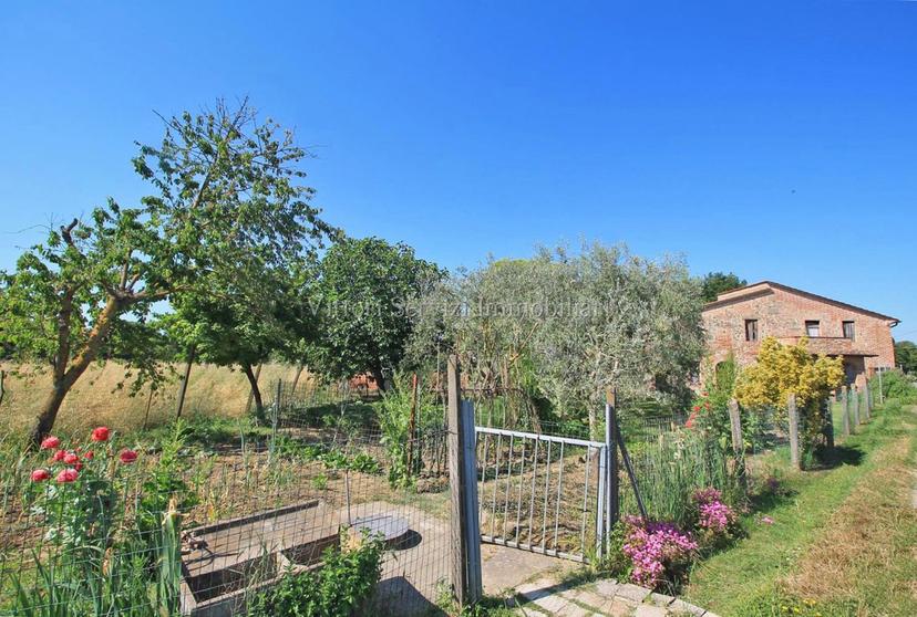 Casale in Via del Capannone, Torrita di Siena — foto 2 di 5
