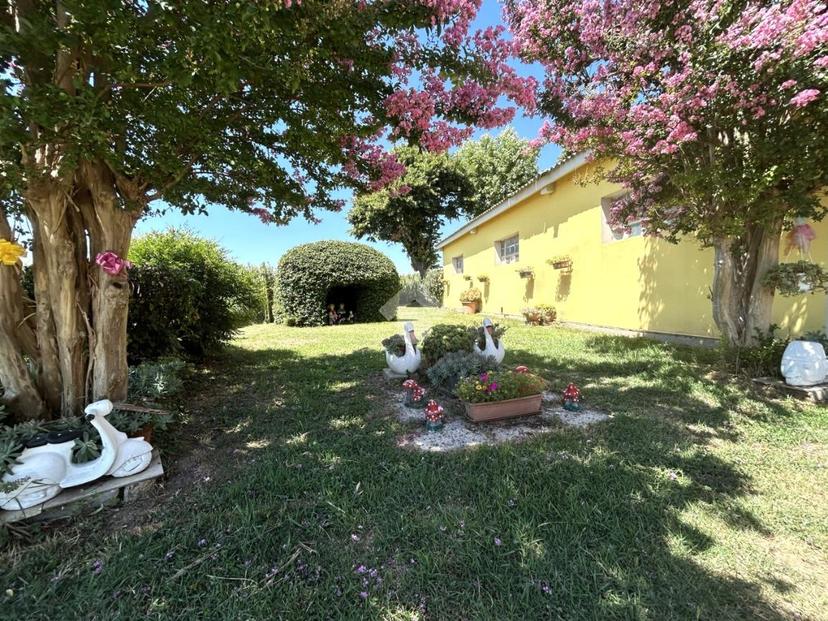 Casa indipendente, Isola della Scala — foto 2 di 5