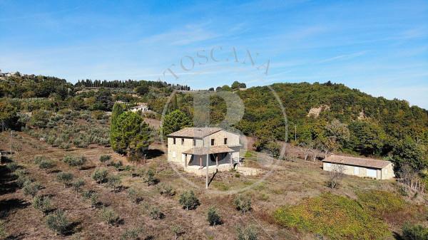 Casale in Strada Provinciale delle Galleraie, Radicondoli — foto 5 di 5
