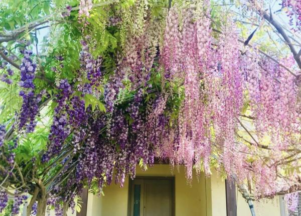 Villa in Via Uggiano, Otranto — foto 5 di 5