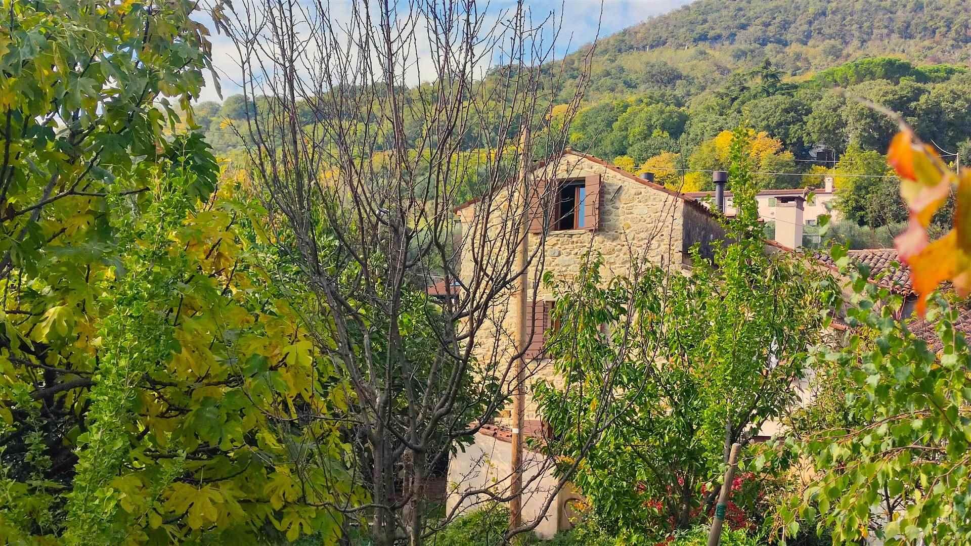 Rustico in Via Prossima, Cinto Euganeo