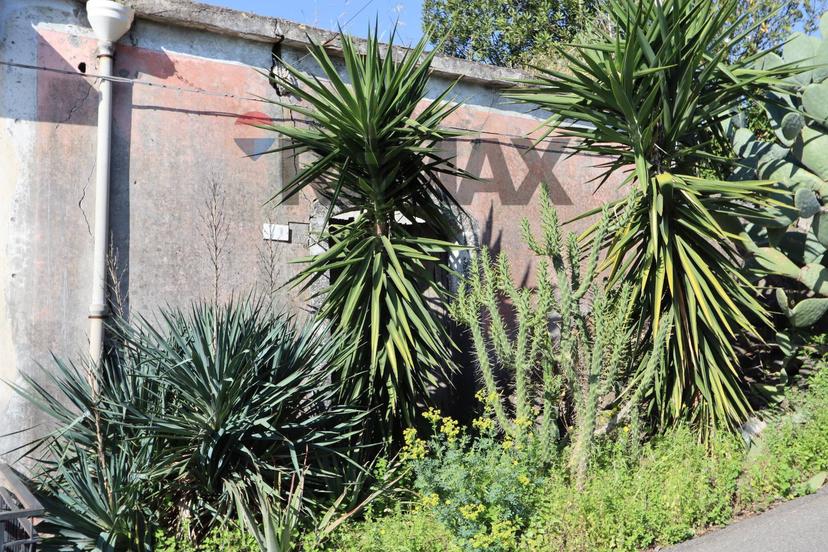 Casa indipendente in Via CIVì 31, Fiumefreddo di Sicilia — foto 4 di 5